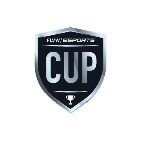 FLVWESPORTS-Cup