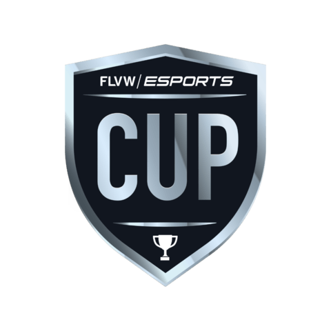 FLVWESPORTS Cup