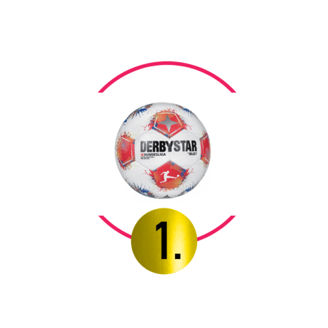 1. Platz
